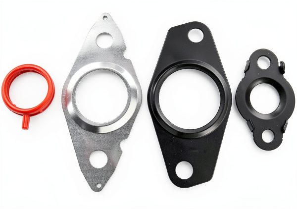 EGR Valve Gasket Kit DICMIC High Quality-4